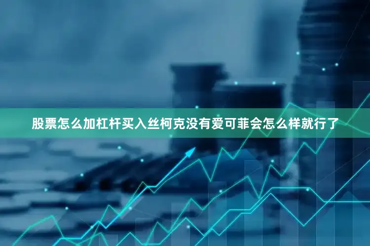 股票怎么加杠杆买入丝柯克没有爱可菲会怎么样就行了