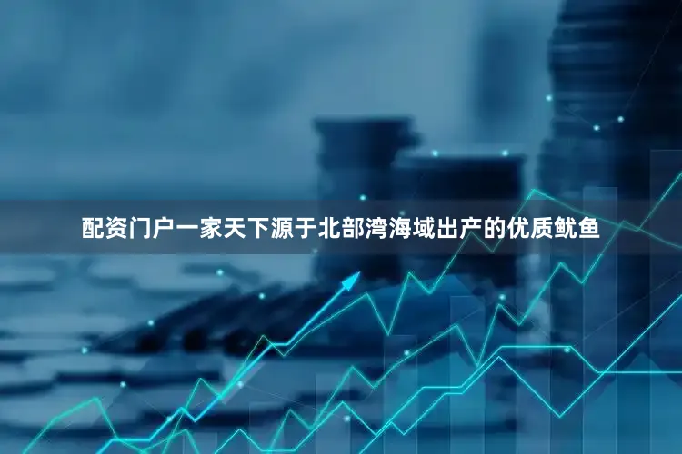 配资门户一家天下源于北部湾海域出产的优质鱿鱼